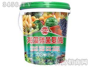 ����̼����(f��)ø-��@���S-���S�ʘI(y��)