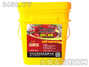 �߿�1̖�����r(n��ng)��΢���������-����S