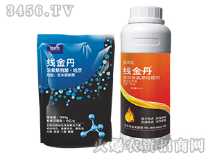 ����1+1�M��-�_(t��i)��������