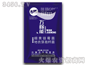 ΢��̼�儩-�f����-Ǭ�r(n��ng)