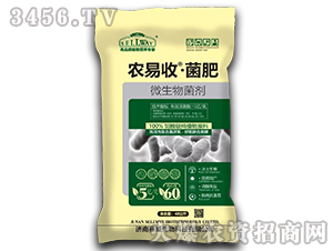 ΢�������-�r����-ِ������