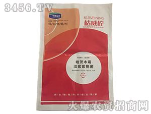 ΢�������-������-�������r