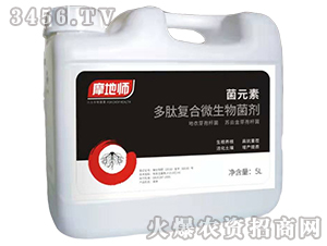 ��Ԫ�ض��ďͺ�΢�������-Ħ�؎�-�������r