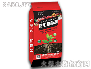 ΢�������-��ʩ��-��������