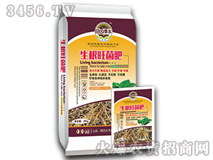 ����������-��@���S-���S�ʘI(y��)