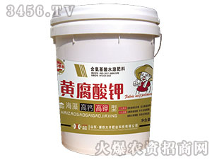 �S����⛣�Ͱ��-��@���S-���S�ʘI(y��)