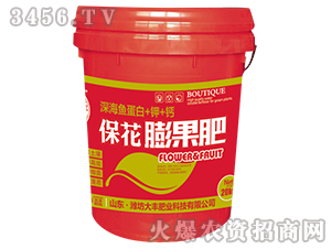 20kg���������-��@���S-���S�ʘI(y��)