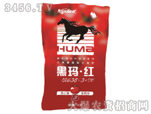 ���t������ˮ�ܷ�-�ڬ����t12638+3+TE-�S(li��n)�r(n��ng)�I(y��)