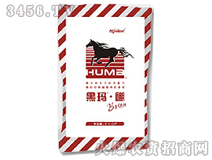 �ڬ�����-�S(li��n)�r(n��ng)�I(y��)