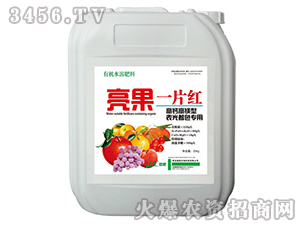 ����һƬ�t-�������