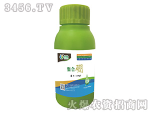 �ۺ���-�Aԣ