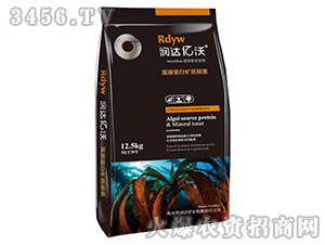 ��ԭ���׵V�|(zh��)̼��-��(r��n)�_(d��)�|��-��(r��n)�_(d��)�ʘI(y��)