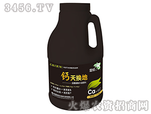 �}��Q��-����-��������