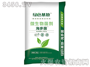 ΢�������-�����-��������