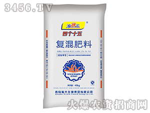 �Ă�(g��)ʮ���(f��)�����-����Ԫ-��������