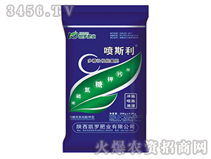 ��˹�������Ǡ��������-�P�_