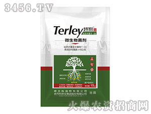 ΢�������-������-ʷ����