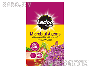 ΢�������-��ˇ��