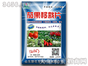 �ѹ�����Ƭ-�Ļ�����