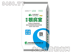 ��ȸ�����-ס�̇�(gu��)�H