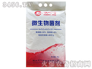 ΢�������-�嵤�(y��ng)