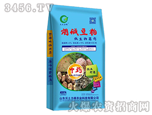 ���A����΢�������-��������