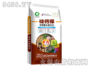 ��΢��Ԫ�ش�ȫ-���}��-��������