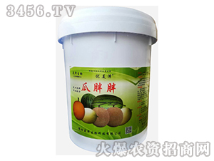 ������-��(y��u)����-��������