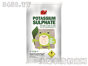 �����-˹����-�|�r(n��ng) 