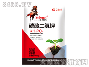 ��������-ʥ��{-�r�dԴ