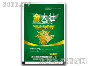 ����-���S����