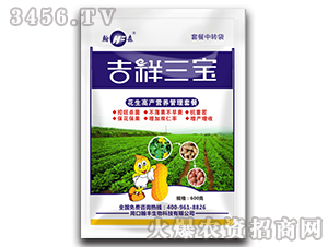 �����߮a(ch��n)�I(y��ng)�B(y��ng)�����ײ�-��������-���S����