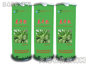 ���ܷ�-����-��������