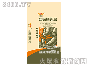 ���}�V⛷�-���зʘI(y��)