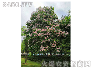 2020��鱘�ӆ�λ����Ŀ14