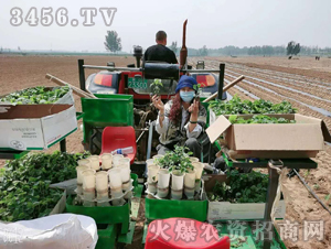 2020��鱘�ӆ�λ����(xi��ng)Ŀ9