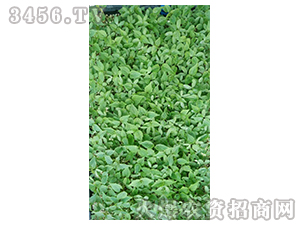 2020��鱘�ӆ�λ����Ŀ5