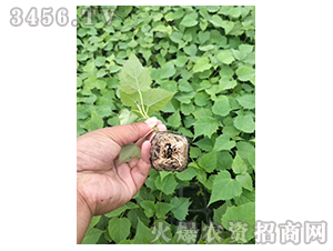 2020��鱘�ӆ�λ����Ŀ3