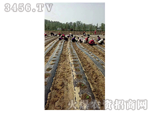 2020��鱘�ӆ�λ����Ŀ2