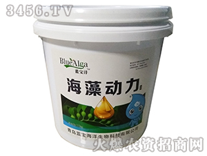 �����(d��ng)��-�{(l��n)����-���u�{(l��n)��