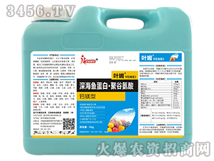 �}�V����~���ס��۹Ȱ���-�~��-�s��