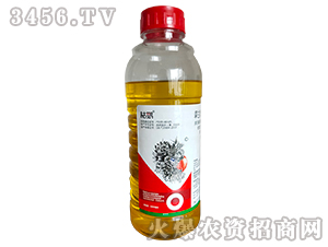 41%�ݸ�좮������}-���W-���ϻ���