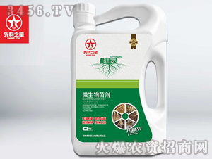 ����������`-�ȿ�֮��