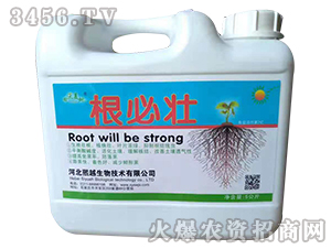 ���؉�-��Խ����