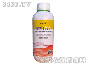 ���1978-�ذ��r-��Խ����