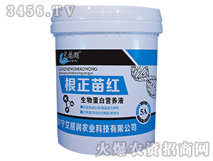 ���ﵰ�נI�B(y��ng)Һ-������t-�񝙷ʘI(y��)