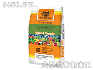 ��΢��Ԫ�ط���-�������