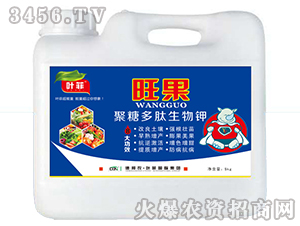 ���Ƕ��������-����-�°��r(n��ng)