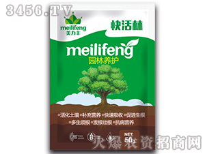 �������Һ-�����-�����S