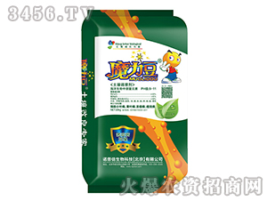 �����{�턩-ħ����-�Z����